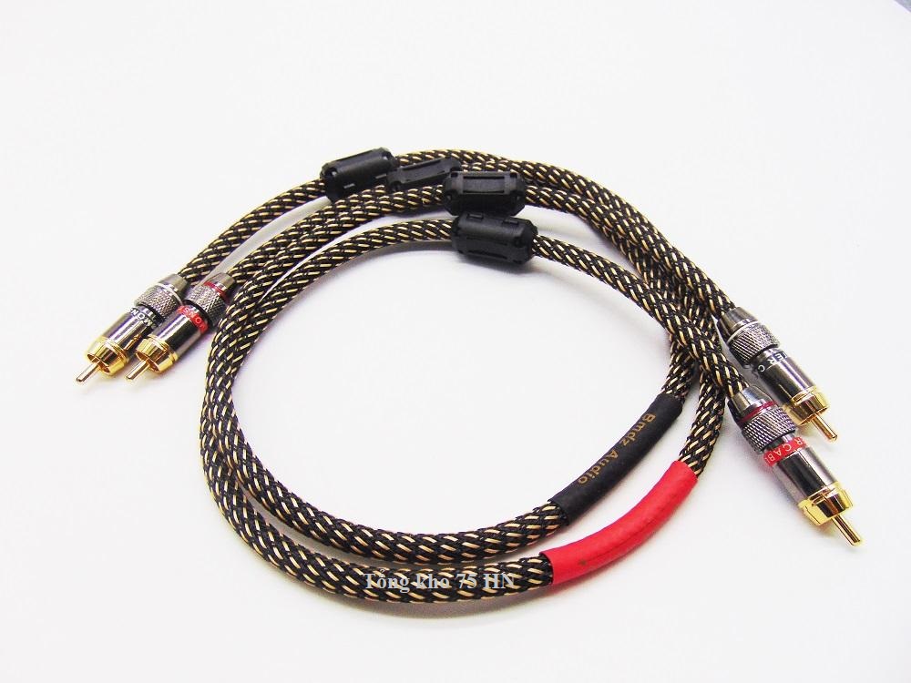 DÂY TÍN HIỆU AUDIO RCA MONSTER STANDARD 100