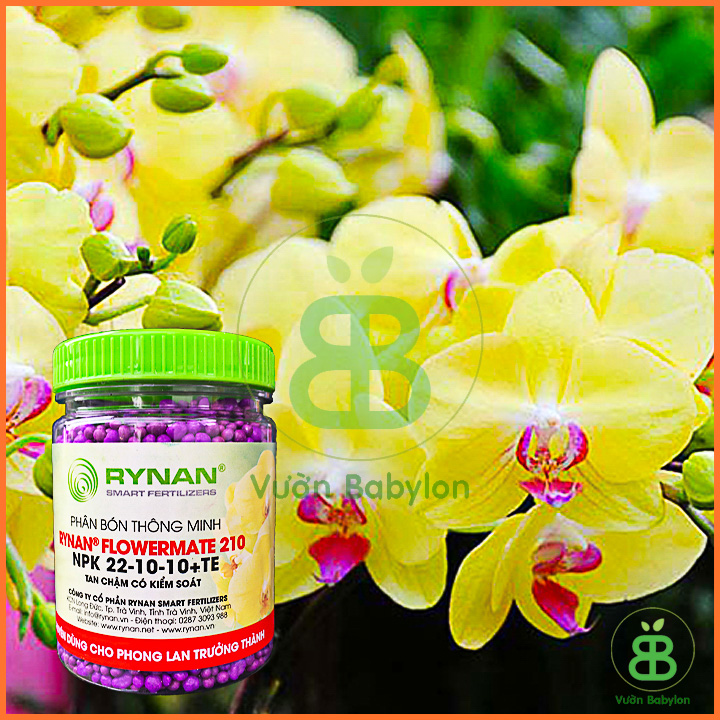 Phân Bón Chậm Tan - Phân Tan Chậm Thông Minh Cho Lan RYNAN 210