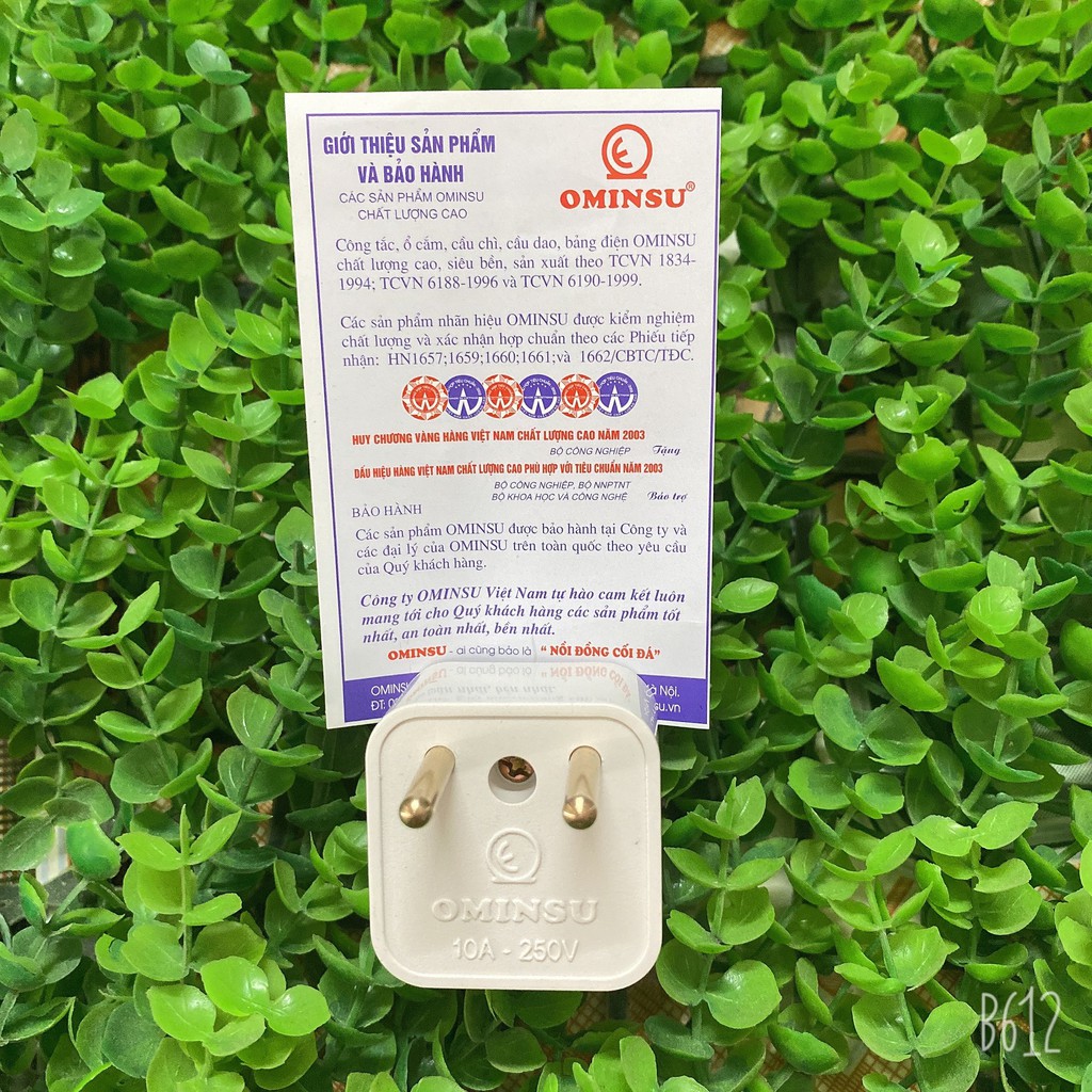 PHÍCH CẮM ĐIỆN CHUYỂN ĐỔI 3 CHÂN SANG 2 CHÂN