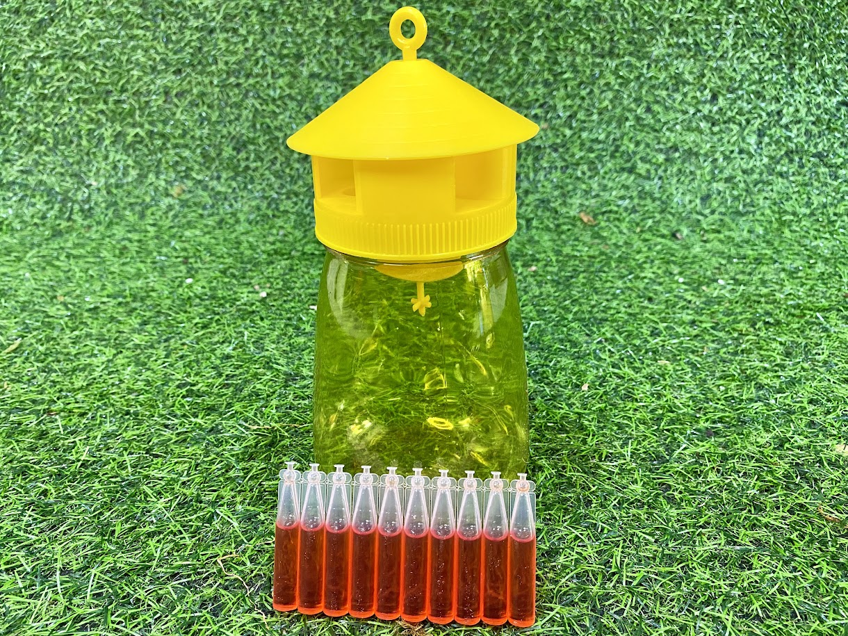 Bộ lồng bẫy ruồi vàng kèm chất dẫn dụ ruồi