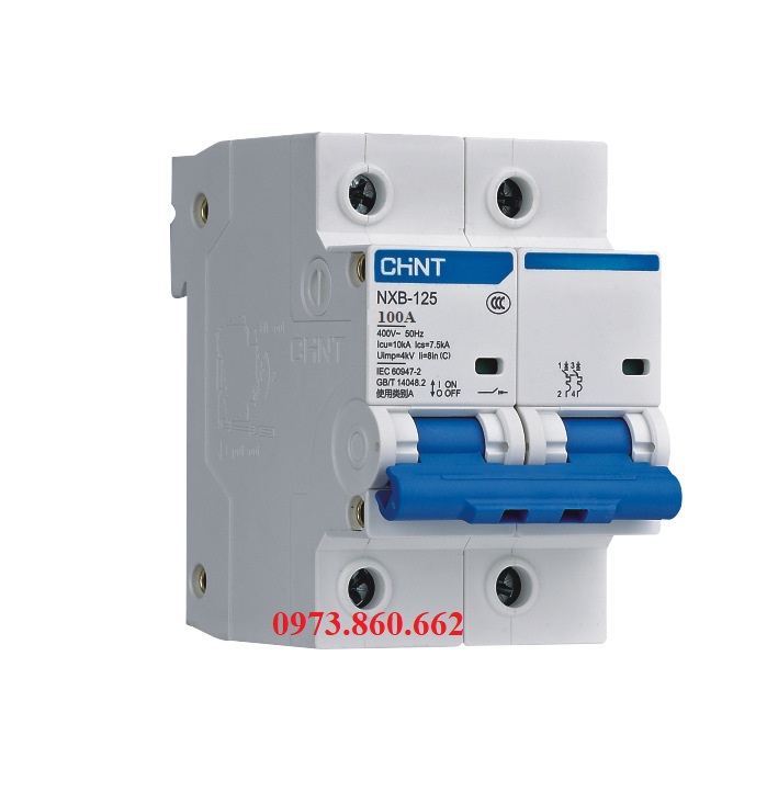 Aptomat mcb 2p 3p 4p 100a chint nxb-125 10ka