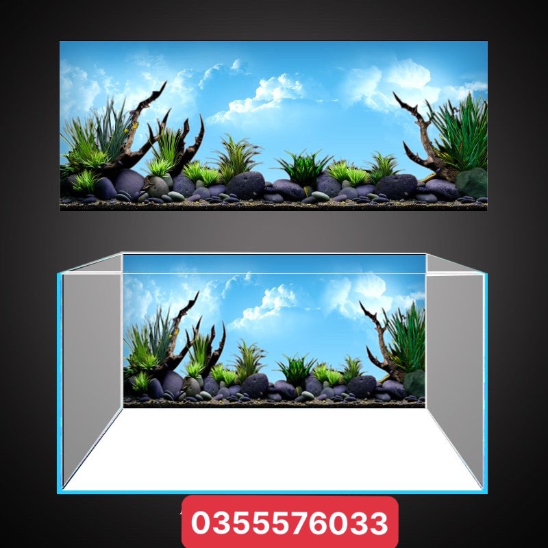Tranh 3D - phông nền dán hồ cá, bể thuỷ sinh siêu đẹp và nét, có keo sẵn trên bề mặt, có thể in theo kích thước yêu cầu (mã AQB16-173)