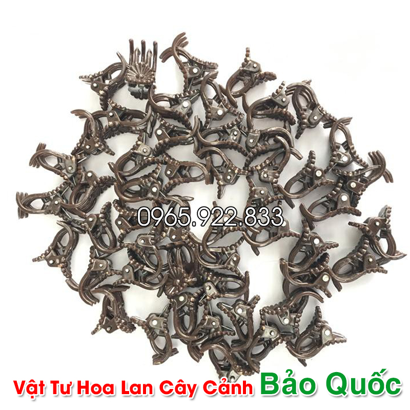 Kẹp Bướm Lan cỡ nhỏ (5 chiếc) cố định cây lan