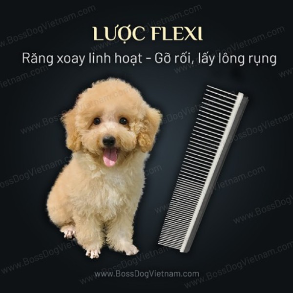 Lược thẳng chải lông chó, gỡ rối lông cho Poodle Corgi Husky Pom  BossDog