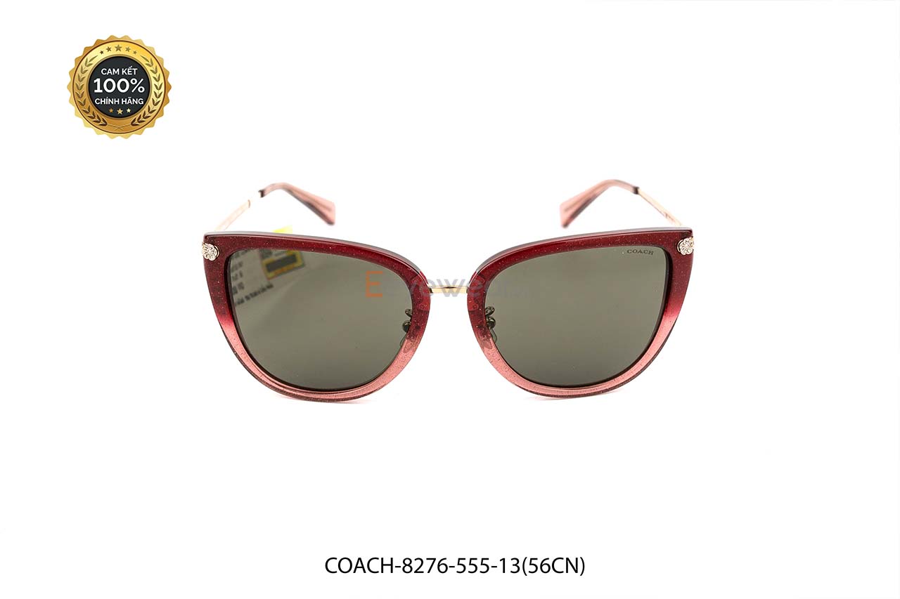 [100% CHÍNH HÃNG] KÍNH MÁT COACH-8276