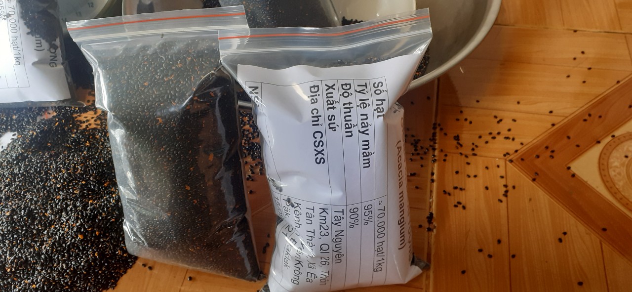 200 gram hạt keo tai tượng giống