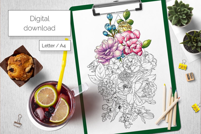 line art tranh tô màu nước (combo 5tranh  giấy dầy đẹp)