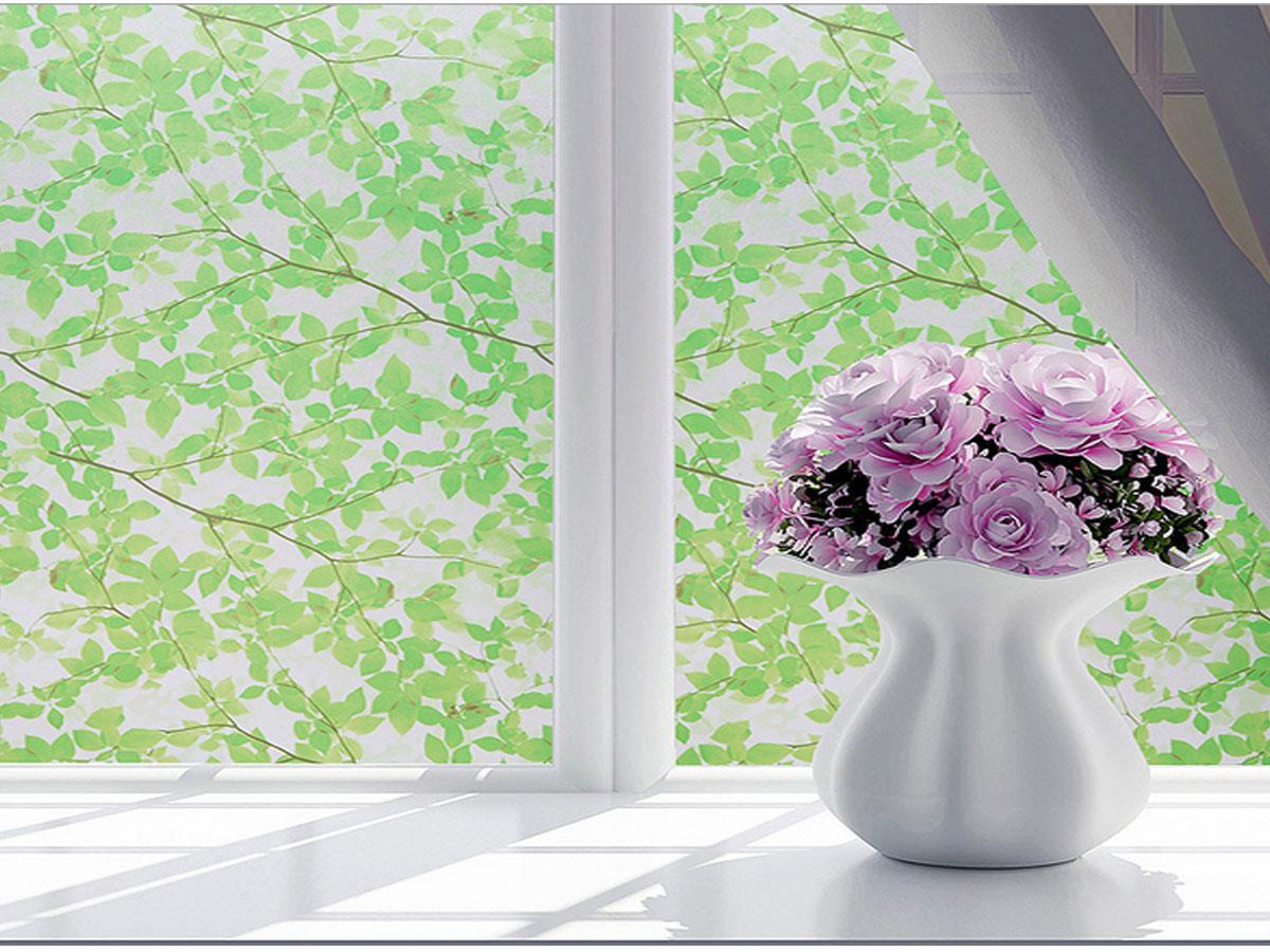 [HCM]Combo 5m decal giấy dán kính Cành Cây Xanh Lá ( khổ 0.6mx5m).