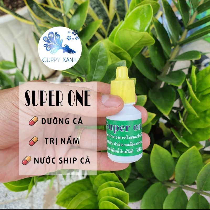 Nước dưỡng cá super one thái lan - Guppy Xanh