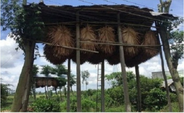 PHÂN DƠI NGUYÊN CHẤT - 1KG