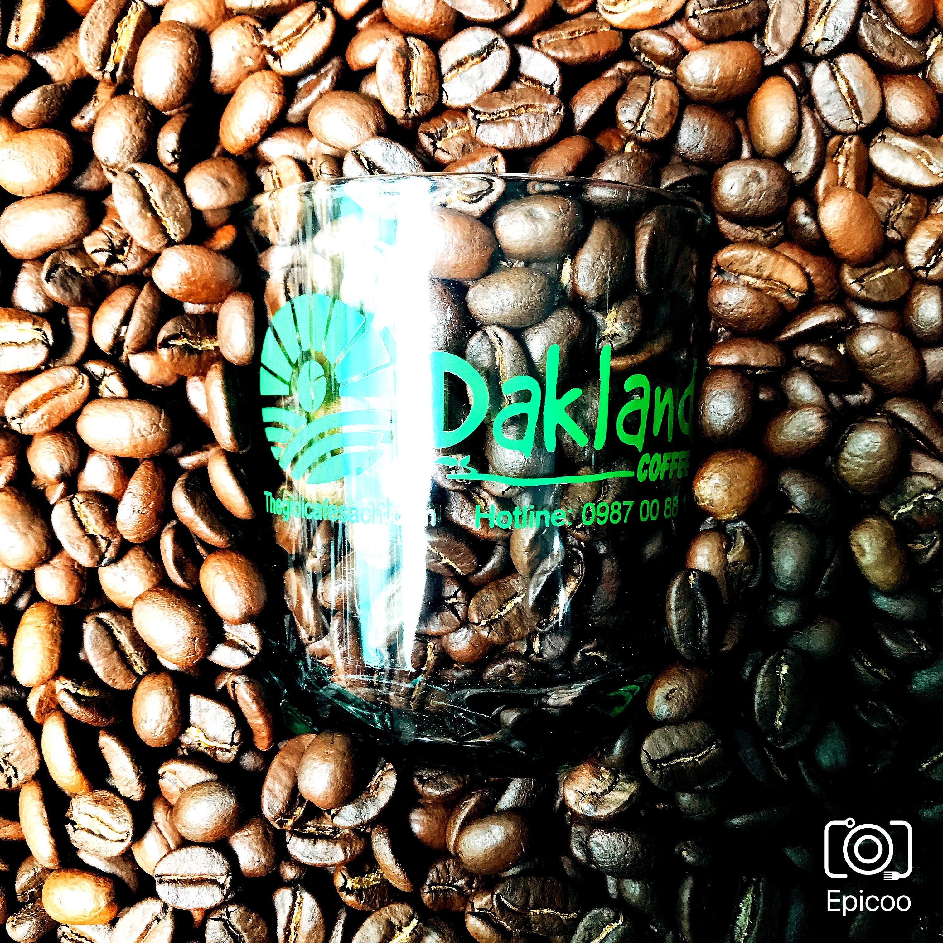 Cà Phê Nguyên Chất Robusta - Dakland Coffee-1kg