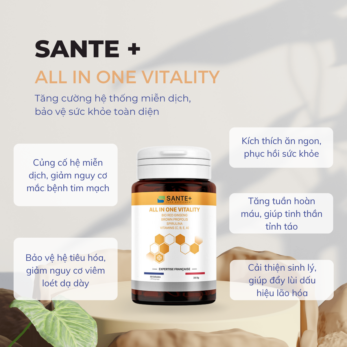 Viên uống sữa ong chúa phục hồi sức khỏe Sante+ All In One Vitality lọ 60  viên, tăng đề kháng giảm mệt mỏi suy nhược cơ thể | Lazada.vn