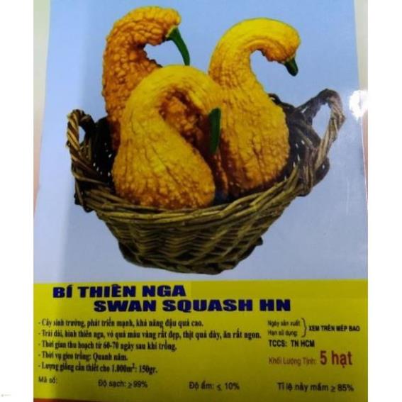 HẠT GIỐNG BÍ THIÊN NGA - GÓI 5 HẠT