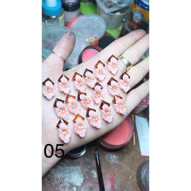 Hoa bột nail (hoa thược dược ôm đá) hoa bột giá sỉ