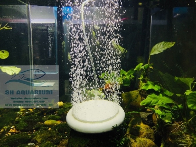 [HOÀN TIỀN 10%]ĐĨA SỦI ÔXY SIÊU MỊN HT-100