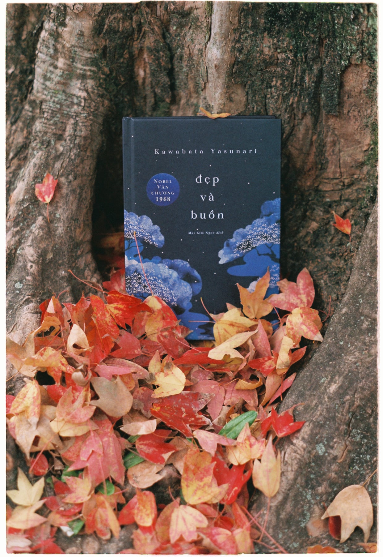 Sách - Đẹp Và Buồn (Nhã Nam HCM)