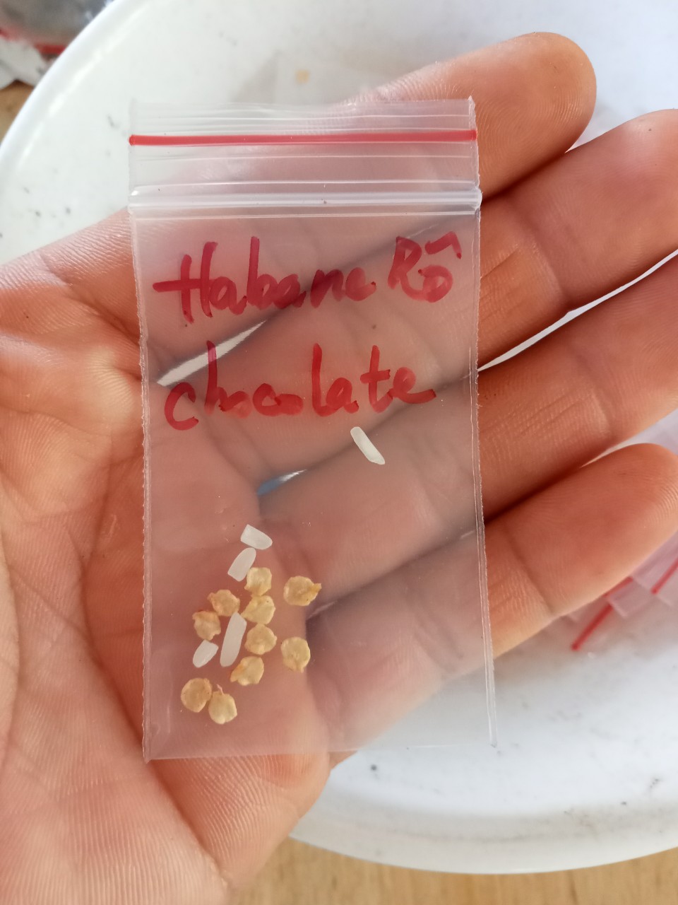 Hạt giống ớt habanero (đỏ, vàng, chocolate)