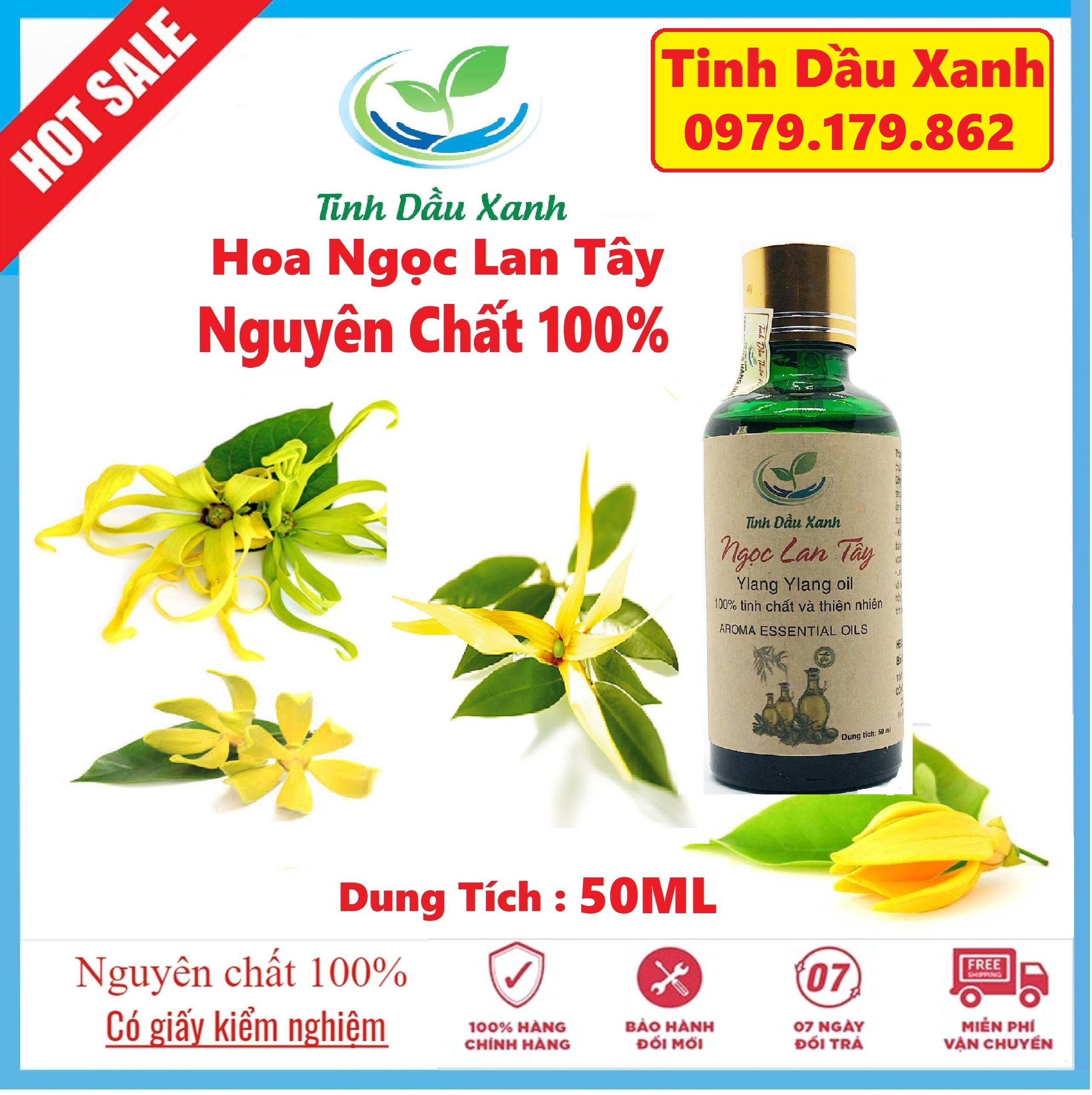 Tinh Dầu Ngọc Lan Tây Nguyên Chất 50ml