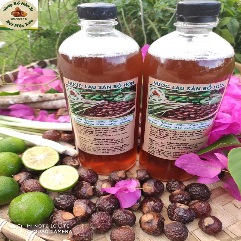 Nước lau sàn Bồ Hòn