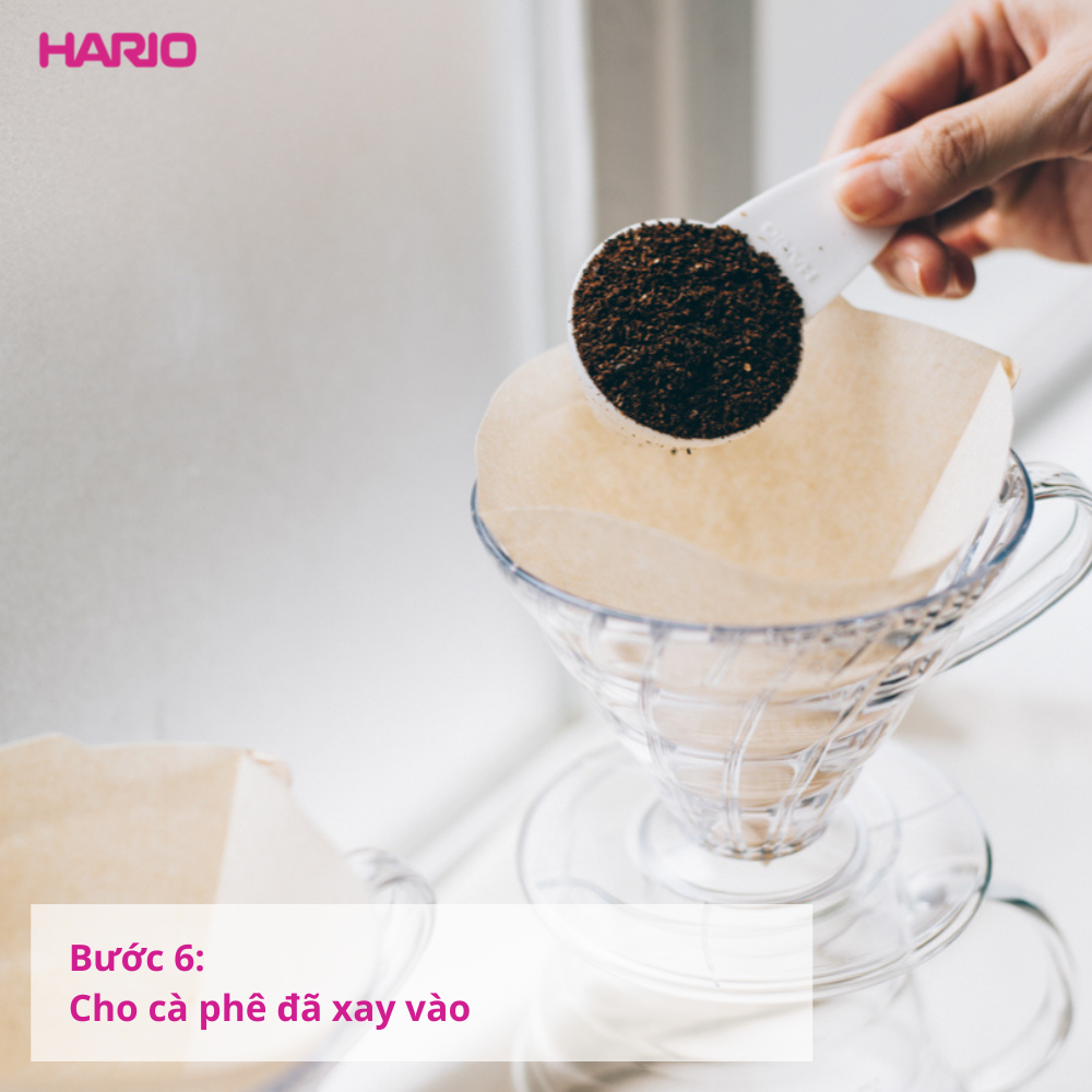 Hario V60 Coffee Paper Filter