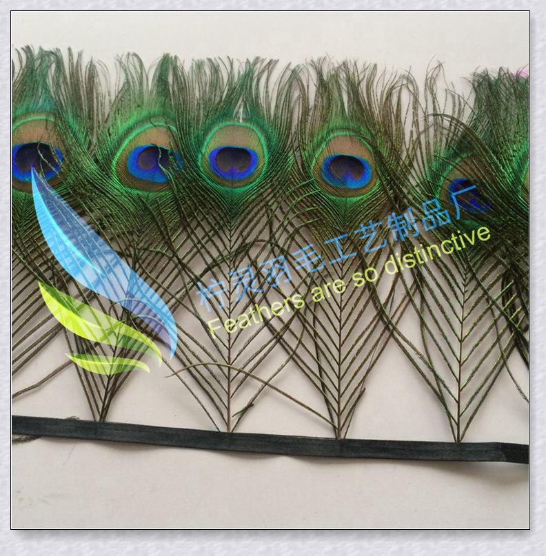 Lông công trang trí