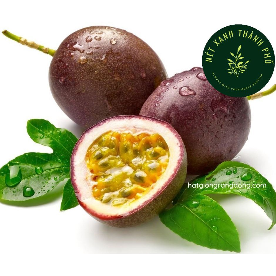 [GIAO HÀNG 2 GIỜ] Hạt giống chanh dây chanh leo