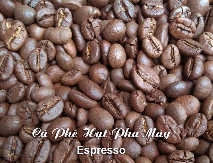 [HCM]Cà phê hạt pha máy Motherland gói 500g