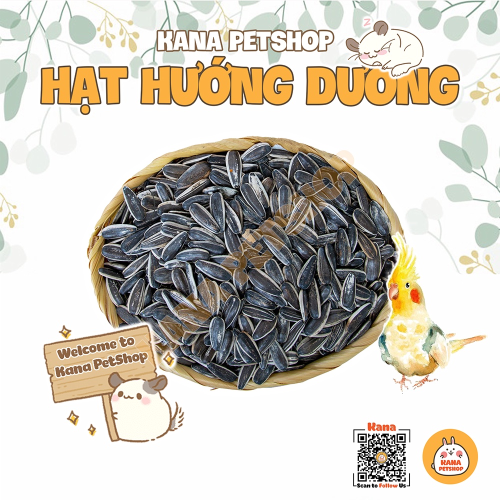 Hạt Hướng Dương 🐹FREESHIP🐹 100G Hạt Hướng Dương Lớn - Nhỏ Cho Hamster , Sóc , Chim , Vẹt .....