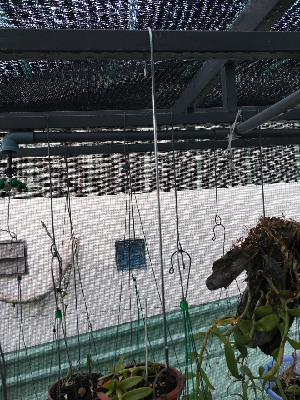Bộ 10 Móc nối chậu lan