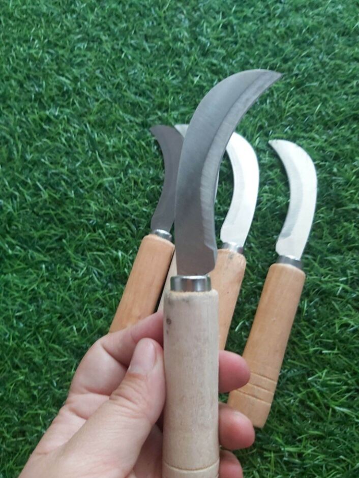 dao cắt chuối  gọt  trái cây  nhỏ