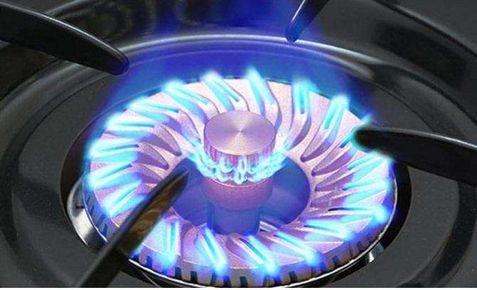 Bếp ga đôi Rinnai RV-365(G)N (Đen)
