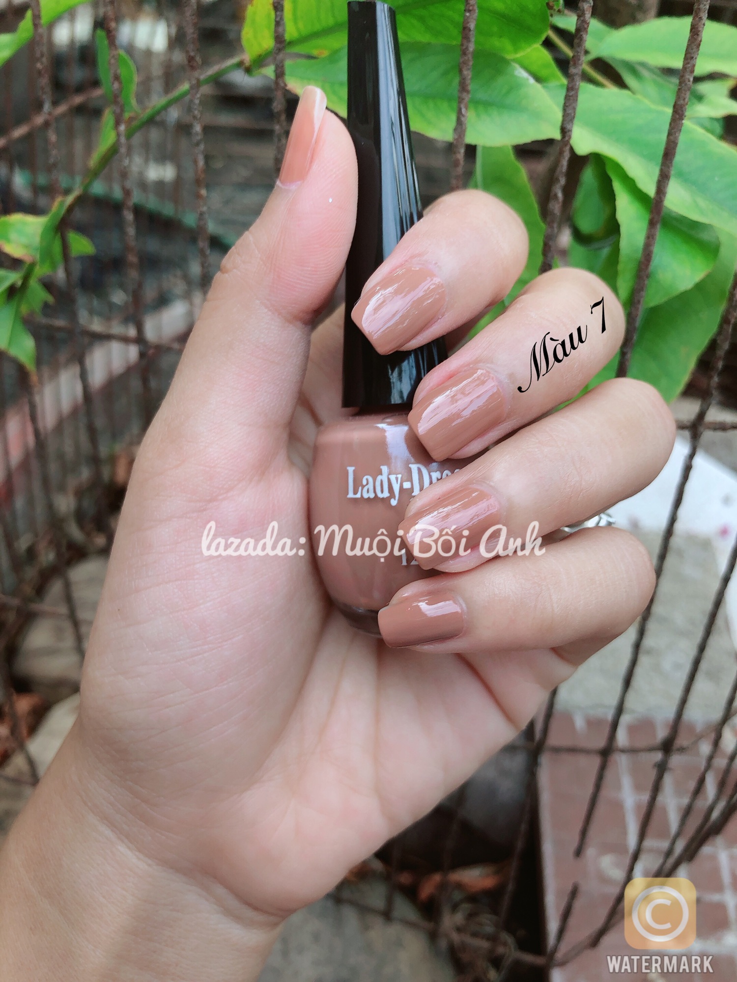 Sơn móng tay Ladydream 12ml