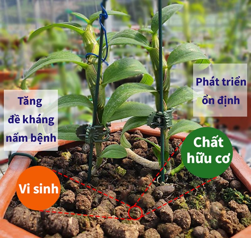 [HCM]Phân trùn quế tan chậm Vermis gói 1kg