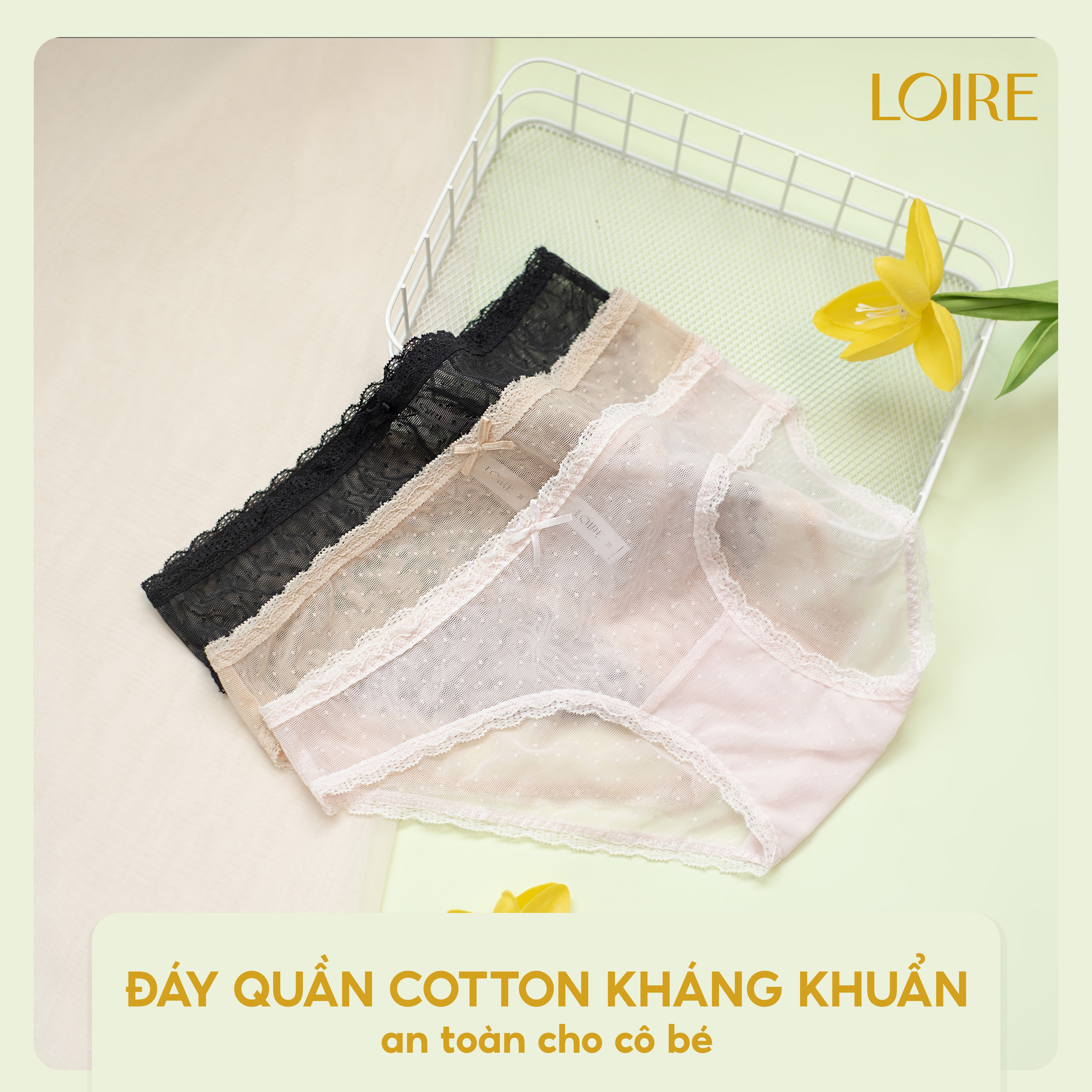 Quần Lót Ren Mỏng Mát Loirechic QLBK30