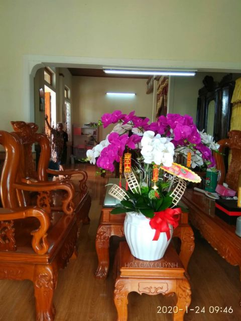 LÁ LAN HỒ ĐIỆP