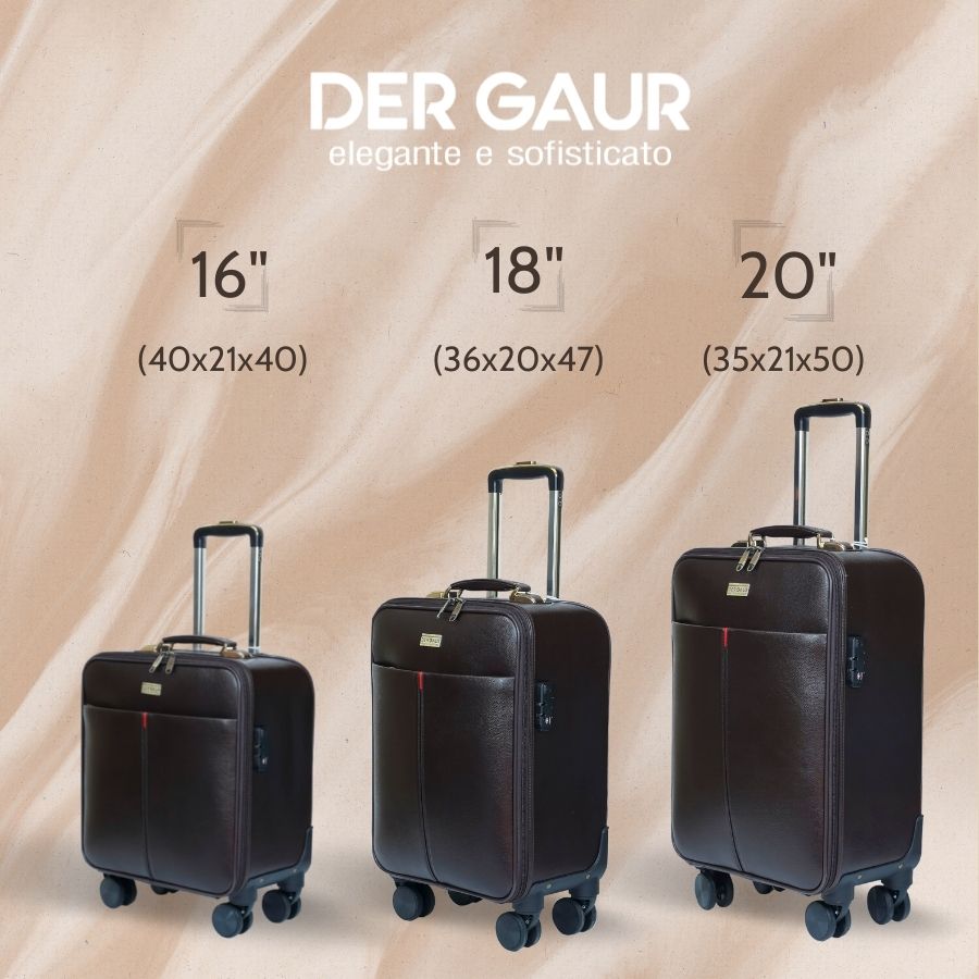 Vali Hành lý chất Da cao cấp DERGAUR DGJ E20 - 20