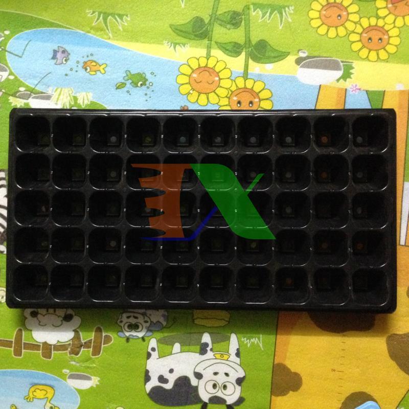 Set 10 tray nursery tree, nursery tray beads, blister ươm (50 holes)