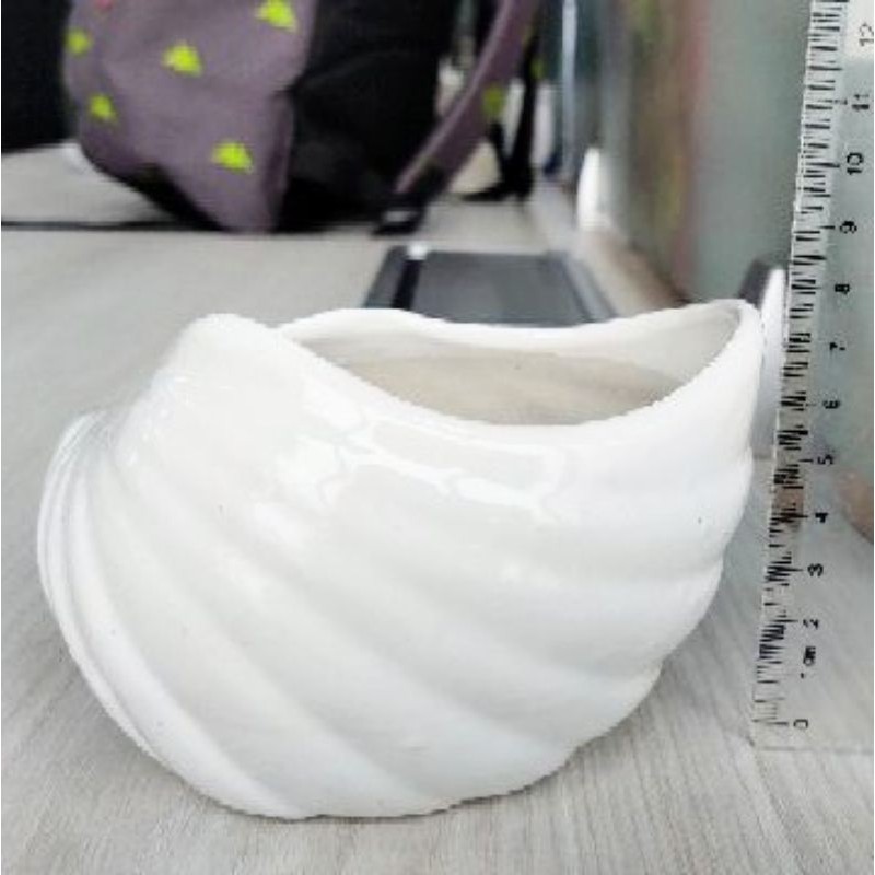 Chậu sứ trồng cây hình ốc đặc biệt