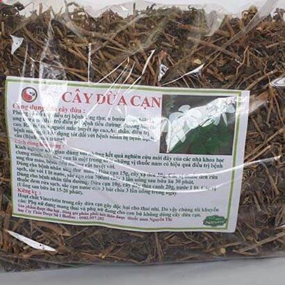 Cây dừa cạn khô 1kg - DC001