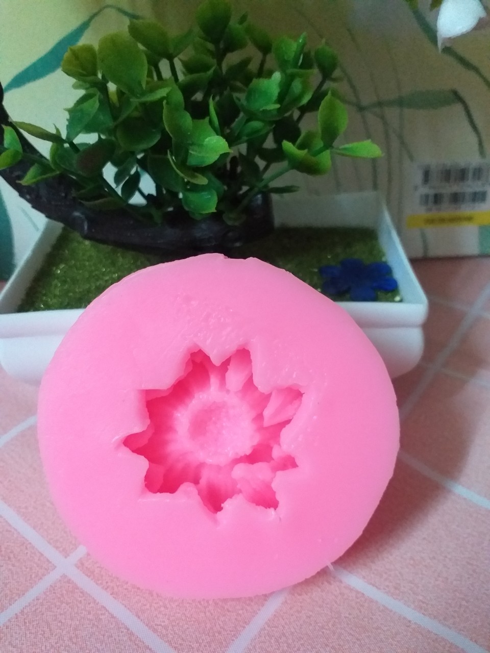 Khuôn silicon 4d hoa cúc trung 2 lớp