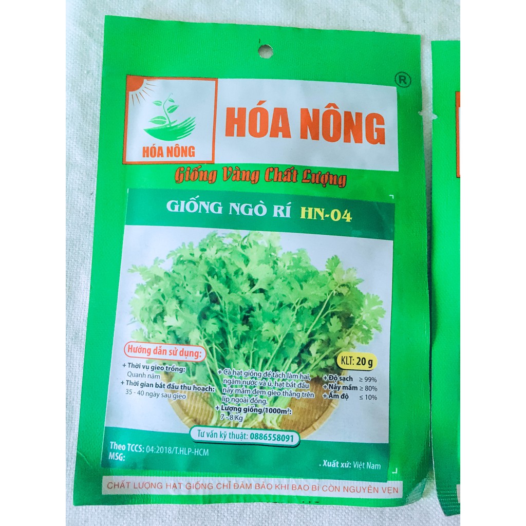 Hạt Giống Ngò Rí