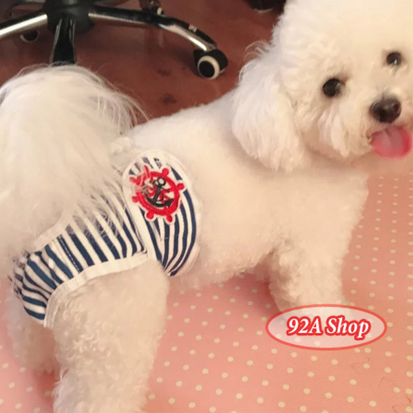 QUẦN SINH LÝ CHO CHÓ CÁI