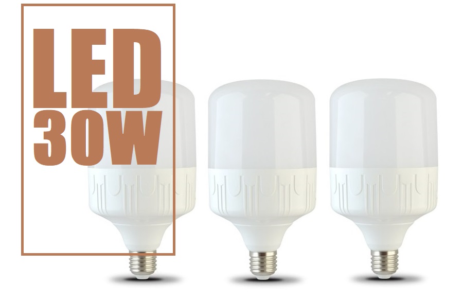Bộ 3 Bóng đèn Led bulb 30W 6500K TOWO