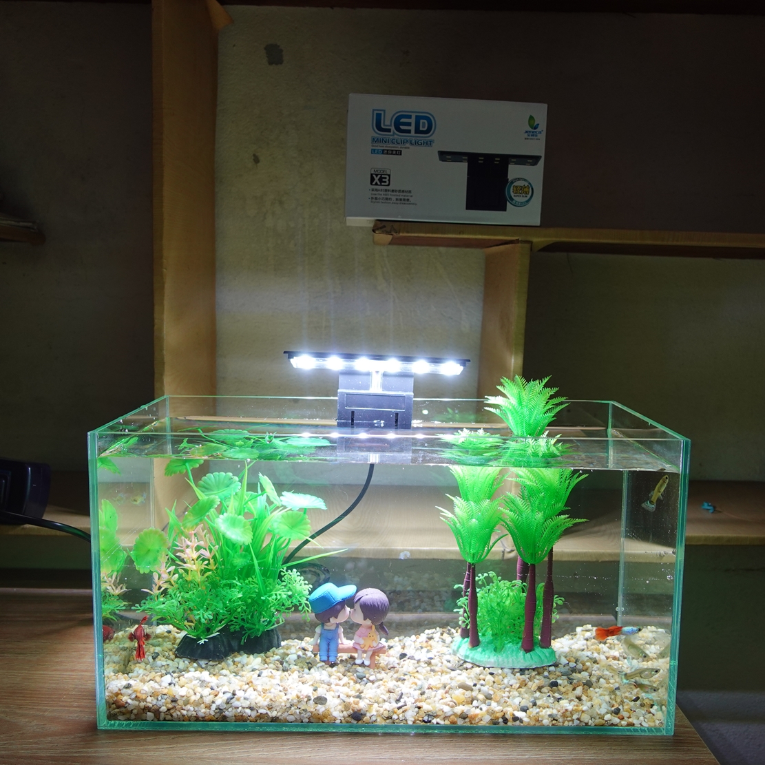 Đèn led thủy sinh Jeneca X3, đèn led 5W cho bể cá mini