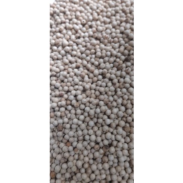Tiêu Sọ, Tiêu Sọ Trắng, bịch 500g