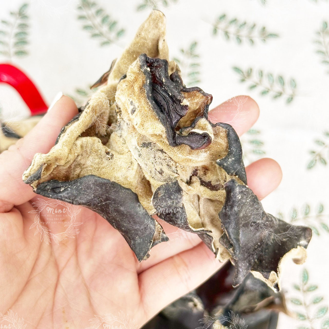 Mộc Nhĩ Đen Sấy Khô (Nấm Mèo Đen -  Nấm Tai Mèo - Auricularia auricula-judae) - Túi 250gr