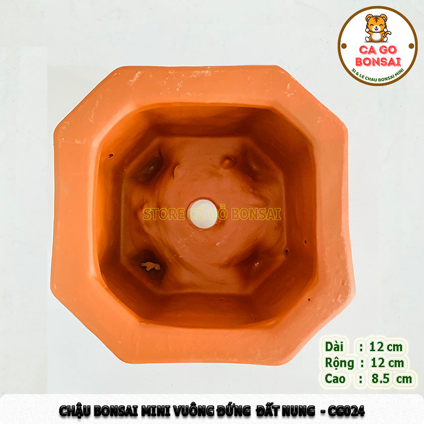 Chậu Mini Vuông Đứng Đất Nung - CG24