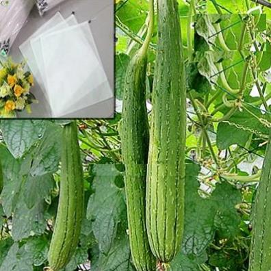 SET 10 Túi bọc Mướp 15cmx60cm bằng vải không dệt - Chuyên dùng bọc trái bầu