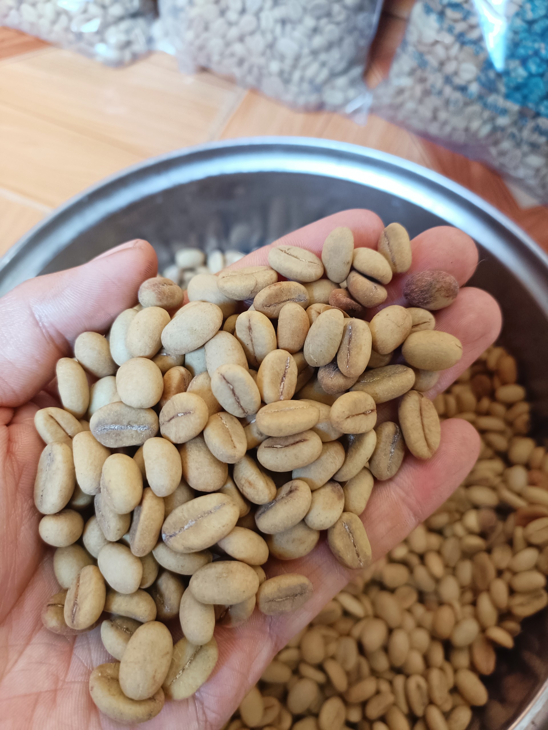 Hạt giống cà phê Thiện Trường cao sản