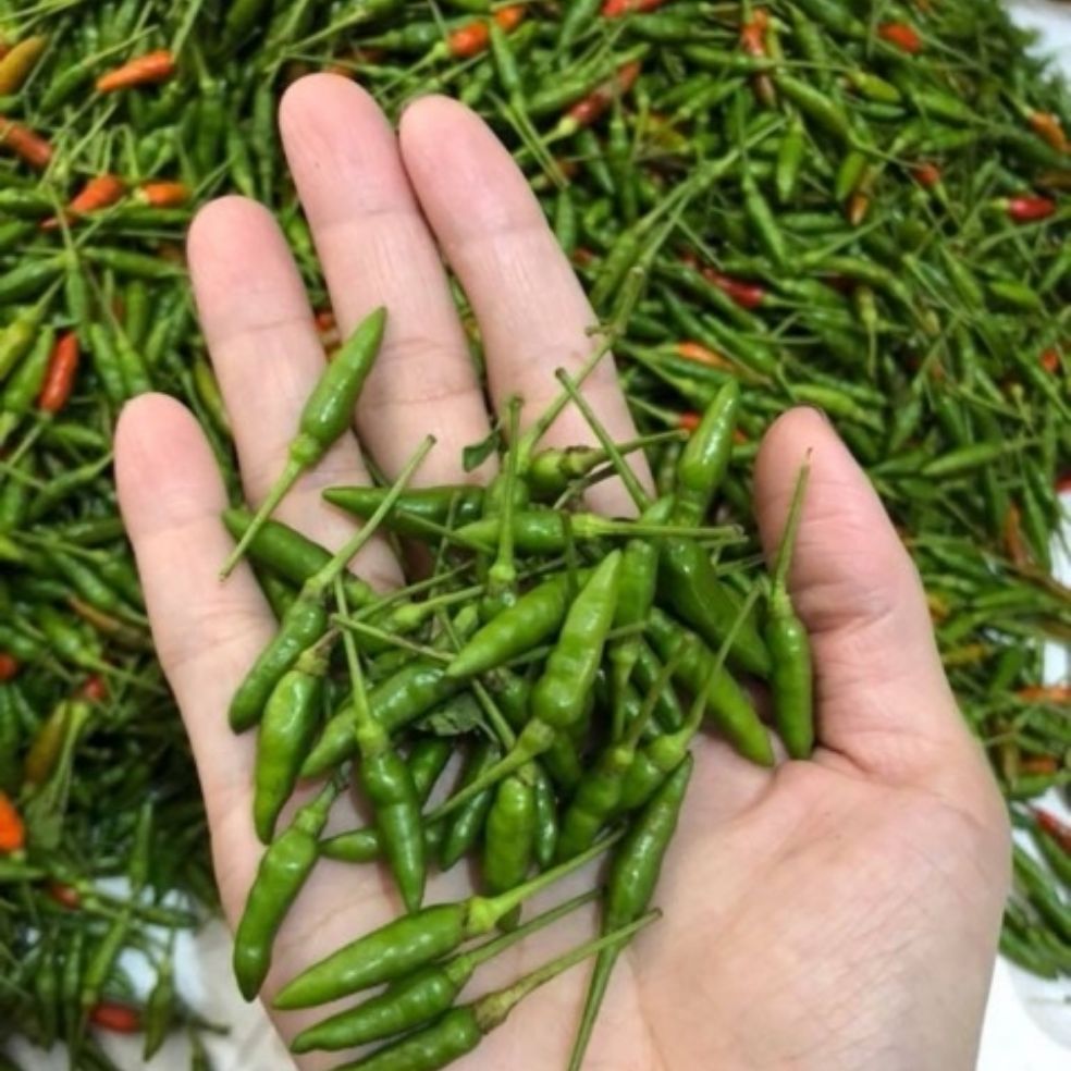 Ớt Chuột Muối(Ớt Dân Tộc H'mông Siêu Cay)